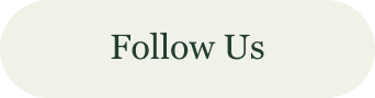 follow us