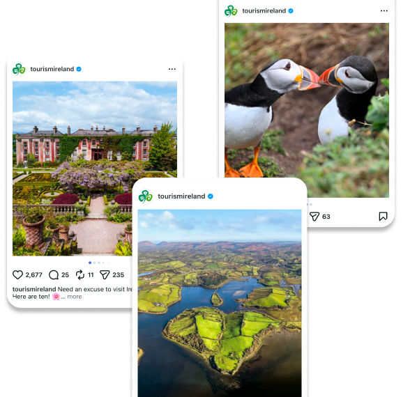 Instagram-style posts.