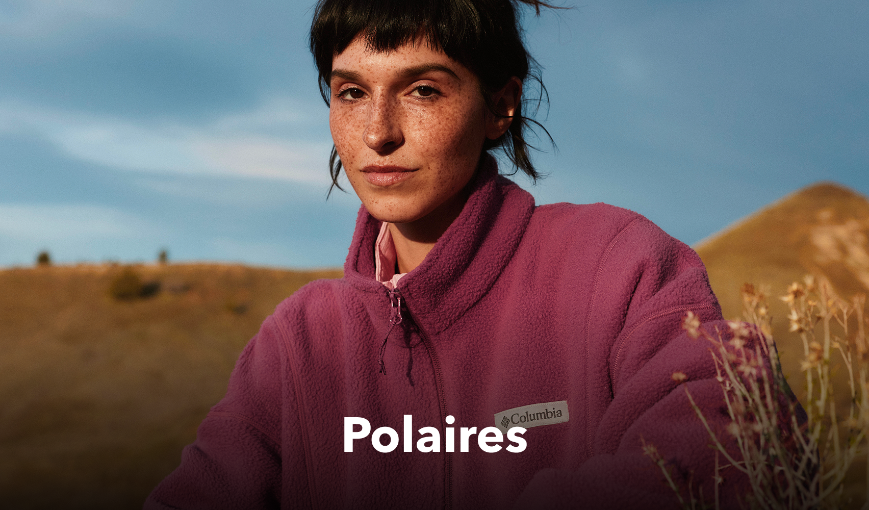 Polaires