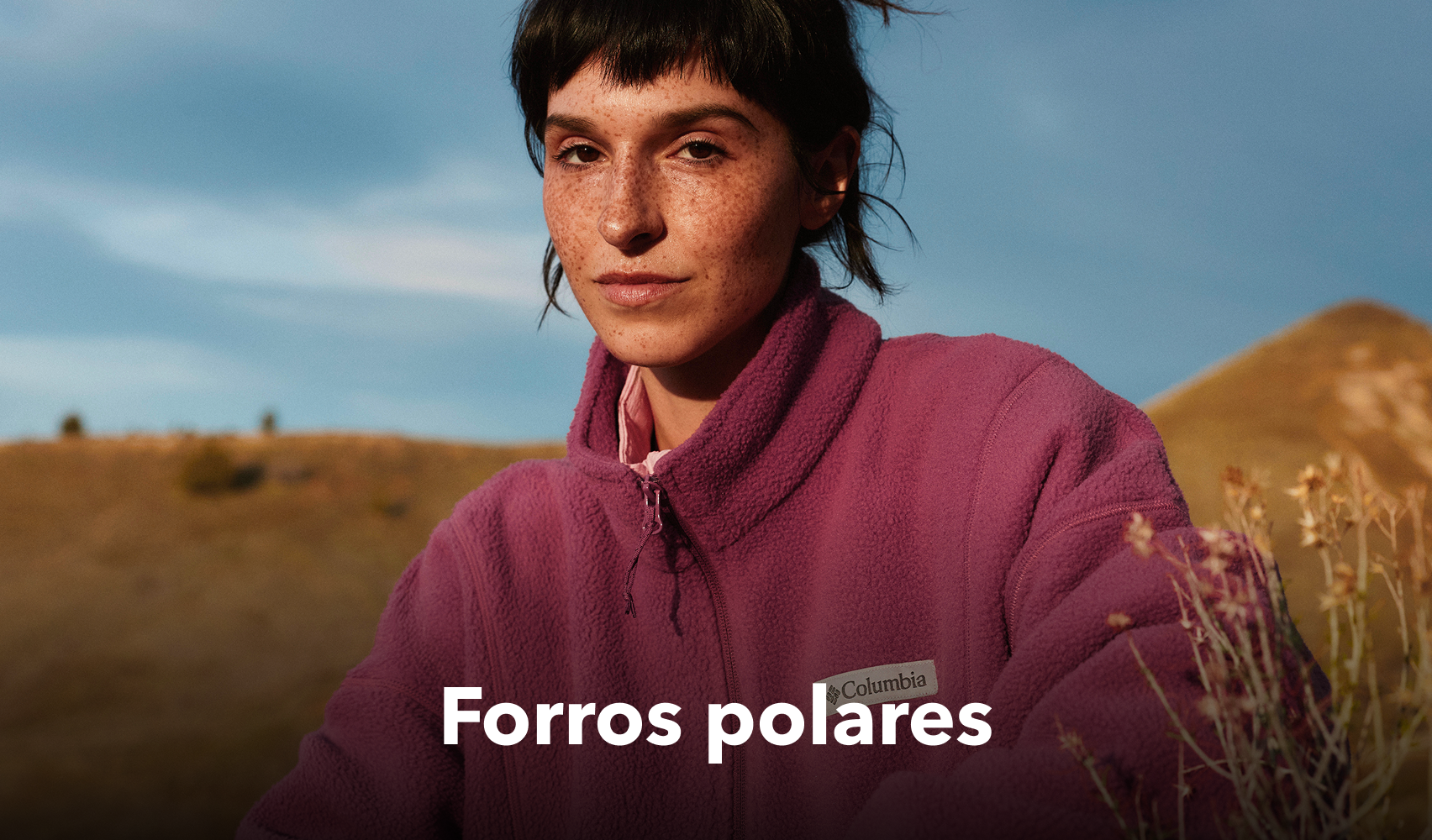 Forros polares