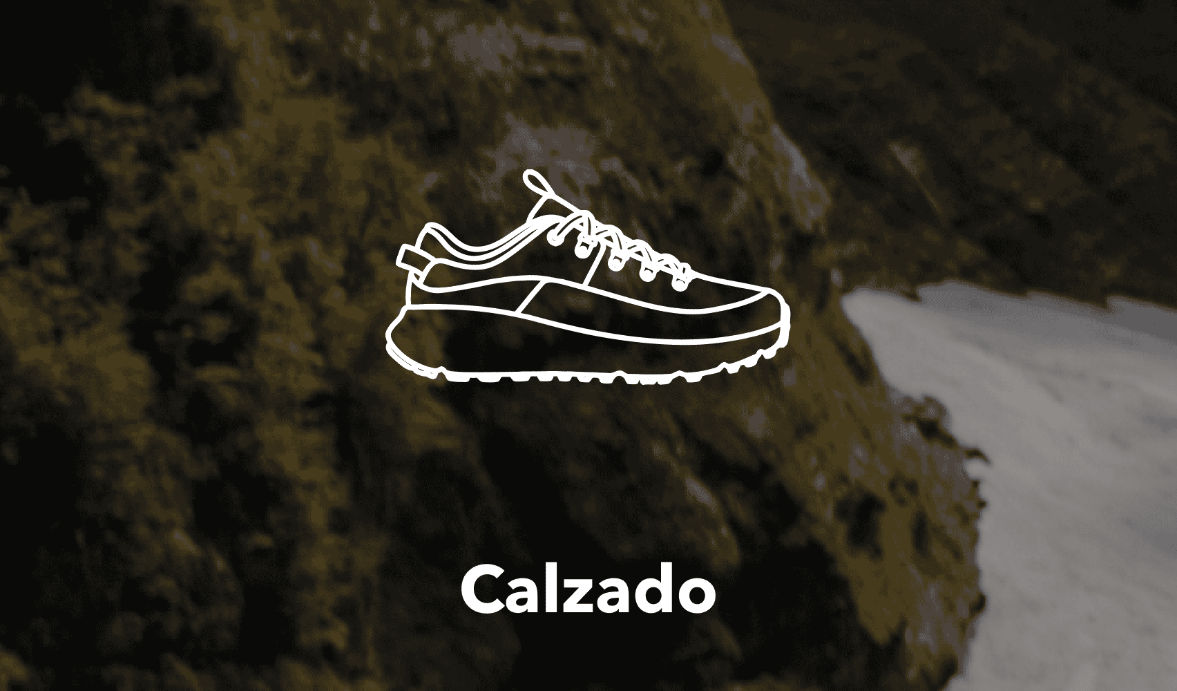 Calzado