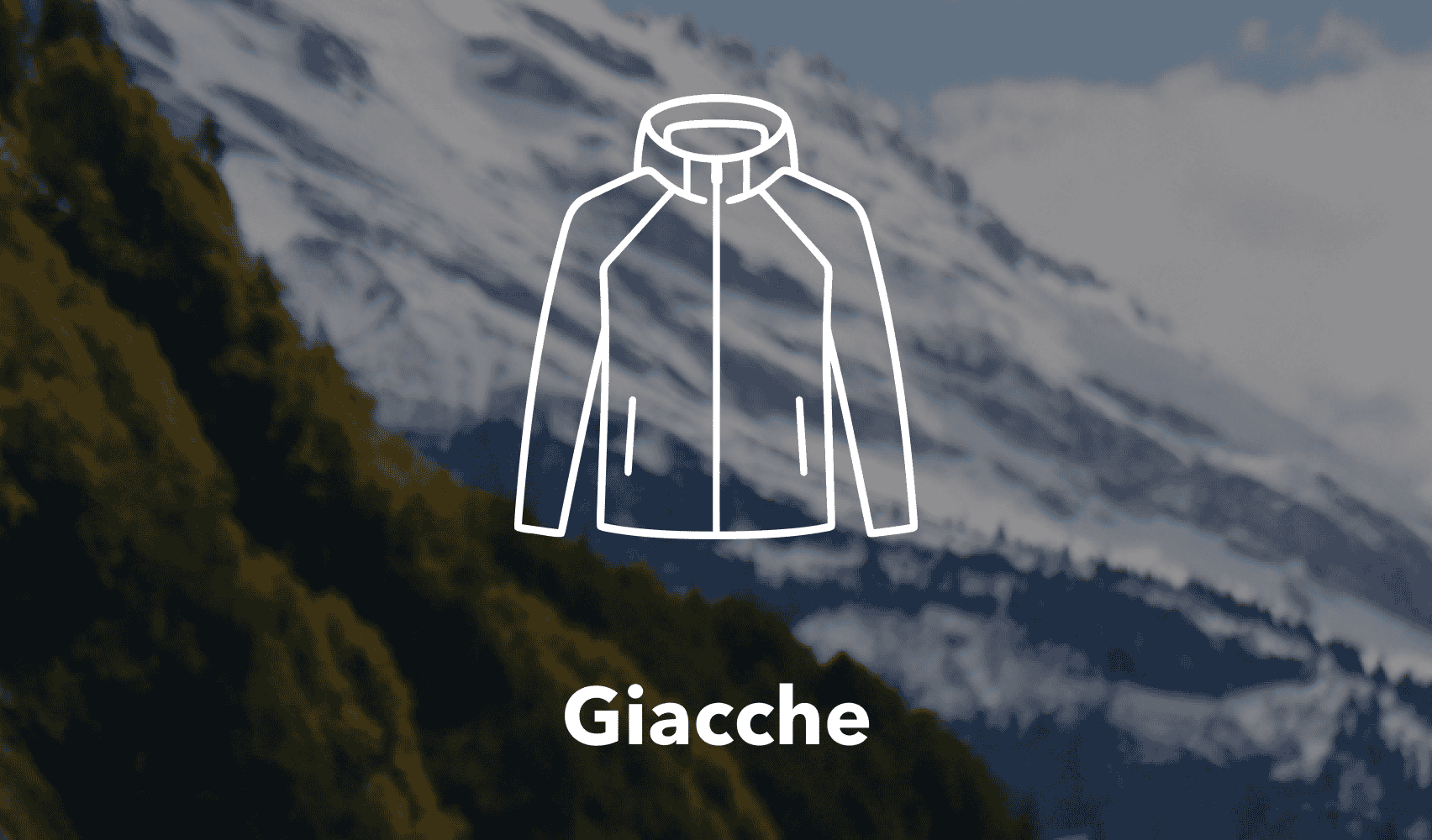 Giacche