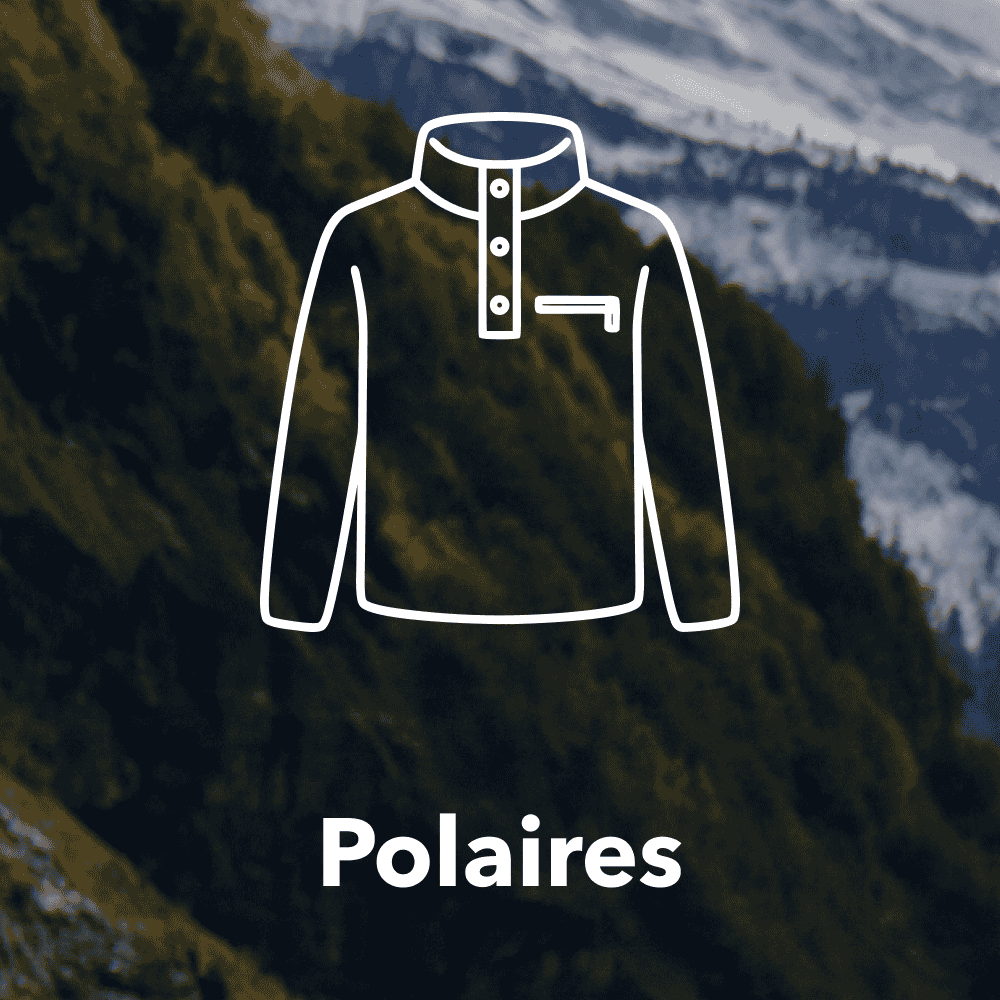 Polaires