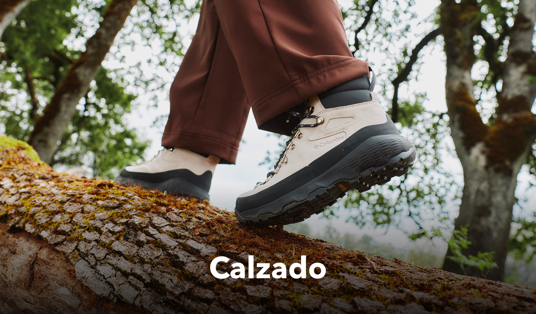 Calzado