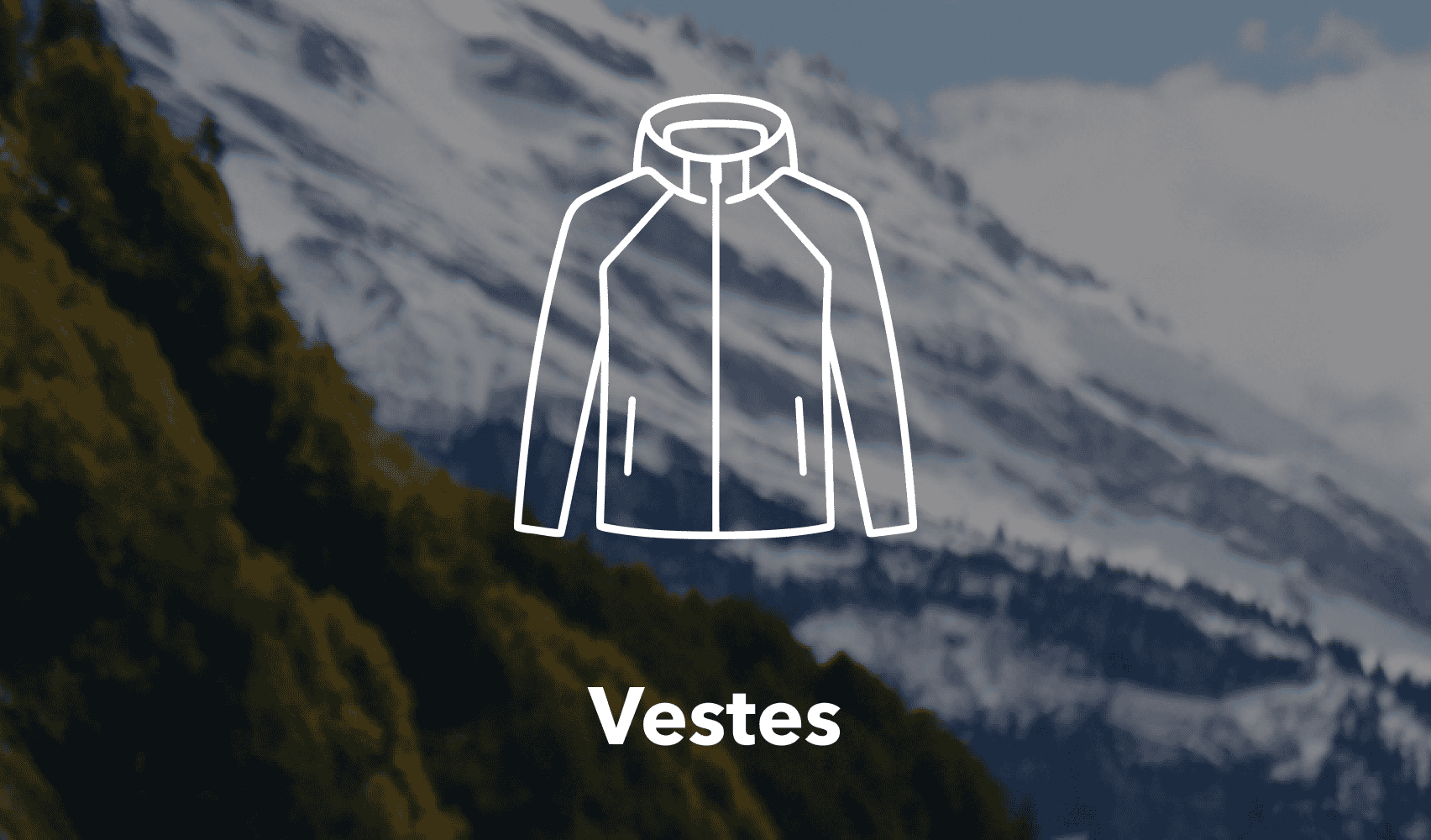 Vestes