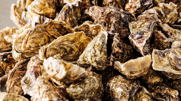 Taste Ireland's Most Memorable Food Experiences